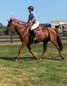 Meet your Posher, Cassidy